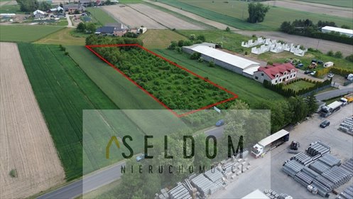 działka na sprzedaż 4040m2 działka Konin