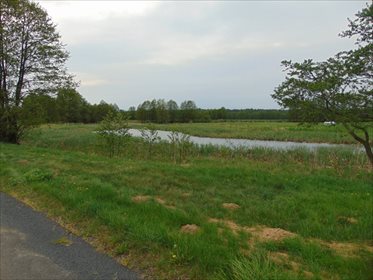 Działka rolna na sprzedaż Kępa Mała 15 000m2 Foto 6