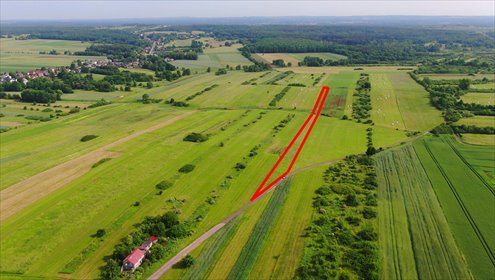 działka na sprzedaż 4806m2 działka Poręba, Niwki, Okopowa