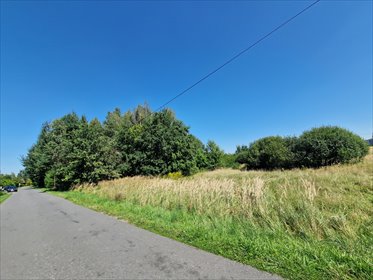 działka na sprzedaż 1004m2 działka Orzesze, Zgoń, Akacjowa