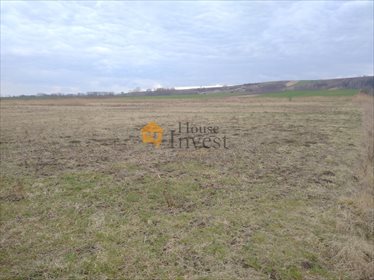 działka na wynajem 5000m2 działka Kielce