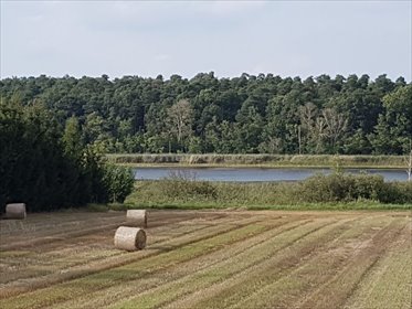 działka na sprzedaż 20068m2 działka Wielka Wieś, Bukowska