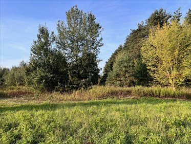 Urokliwa działka z lasem i dużą rolą, 28 400 m2 działka Nosy