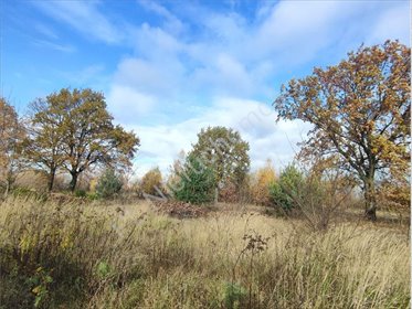 działka na sprzedaż 2104m2 działka Chrzanów Mały