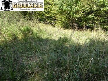działka na sprzedaż 16700m2 działka Brylińce