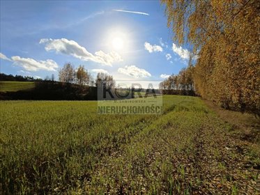 działka na sprzedaż 500m2 działka Gałczynek