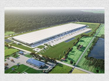 działka na sprzedaż 7371m2 działka Opacz-Kolonia