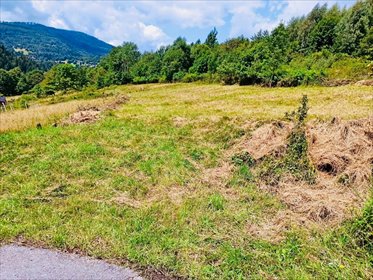 działka na sprzedaż 3000m2 działka ZAWOJA