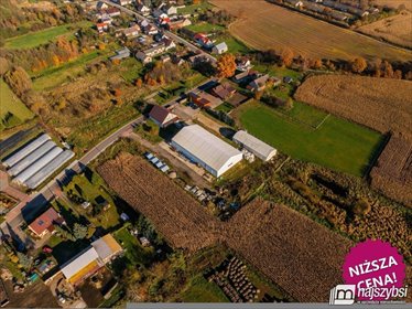 Działka przemysłowa 9000 m2 z halami i placem. lokal użytkowy Bienice