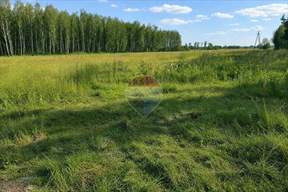 Działka rolno-budowlana 2,25 ha z budynkami - potencjał działka Wistka
