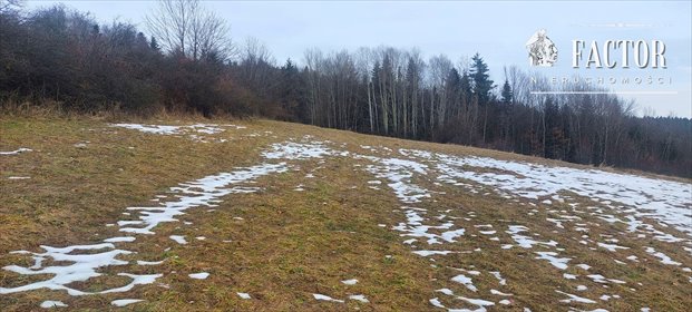 działka na sprzedaż 6600m2 działka Siary