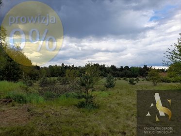 Działka budowlana na sprzedaż Tomisław 5 582m2 Foto 7