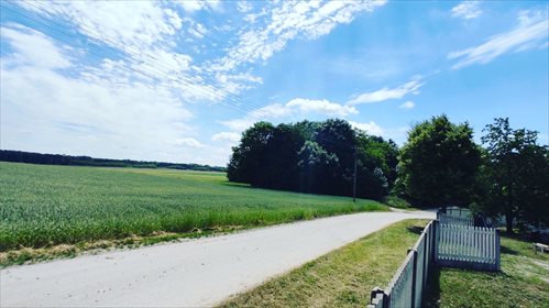 Działka budowlana na sprzedaż Sadki 1 500m2 Foto 5