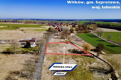 Działka 4200 m² z warunkami zabudowy i mediami działka Witków