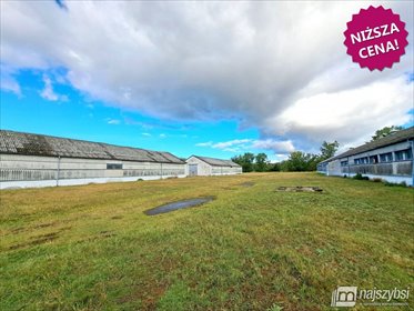 lokal użytkowy na sprzedaż 141m2 lokal użytkowy Wolin, obrzeża