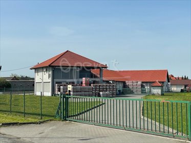 magazyn na sprzedaż 1188m2 magazyn Ociąż, Ociąż