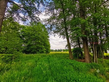 Do sprzedania działka 4 850 m² z planem budowlanym w Kałęczynie działka Kałęczyn