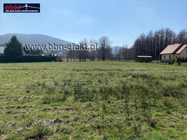 Działka budowlana na sprzedaż Biery 2 573m2 Foto 1