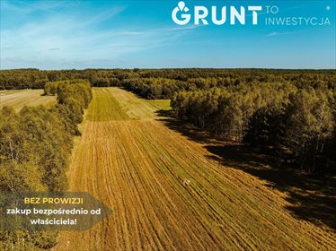 działka na sprzedaż 1063m2 działka Borowa