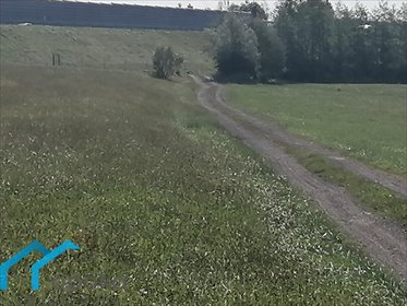 Działka rolna na sprzedaż Łączka, Wierzbowa 20 000m2 Foto 5