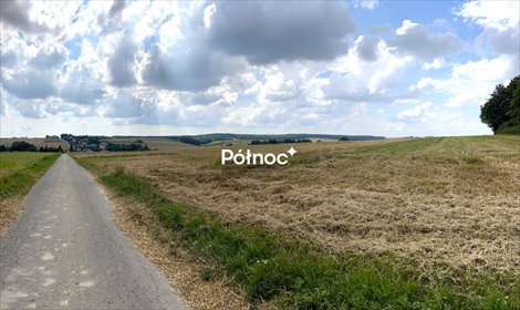działka na sprzedaż 8000m2 działka Zadroże
