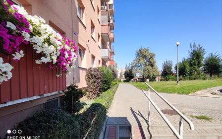mieszkanie na sprzedaż 52m2 mieszkanie Tczew, Garnuszewskiego, Jedności Narodu 2747