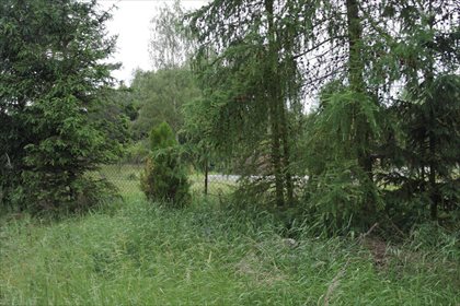 Działka budowlana na sprzedaż Biały Bór 504m2 Foto 3