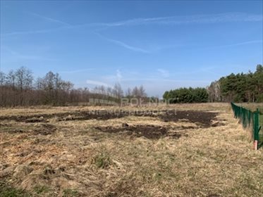 Działka budowlana na sprzedaż Cerekwica 2 398m2 Foto 4