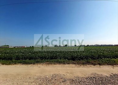 działka na sprzedaż 1017m2 działka Falenty Nowe