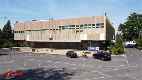 Lokal użytkowy 2000 m² w centrum Nowej Sól - zapraszam lokal użytkowy Nowa Sól, Marszałka Józefa Piłsudskiego