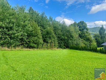 działka na sprzedaż 1062m2 działka Pisarzowa