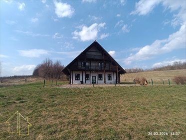 Działka inwestycyjna 52 ha w Jaksmanicach - atrakcyjna oferta działka Jaksmanice