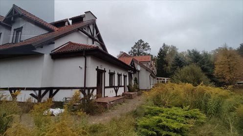 Lokal użytkowy na sprzedaż Wójtowo 1 391m2 Foto 5
