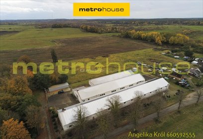 Zapraszam do obejrzenia magazynu 2110 m² z biurem i instalacją fotowoltaiczną lokal użytkowy Stare Ślepce