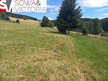 działka na sprzedaż 1341m2 działka Głuszyca