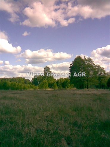 działka na sprzedaż 2663m2 działka Nowe Polesie