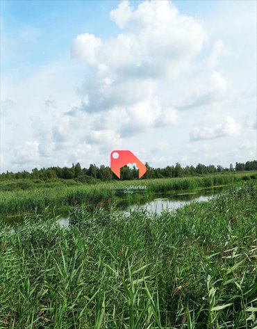 Działka 35 800 m2 z dostępem do rzeki Noteć, idealna dla rolników działka Polichno