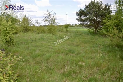 Działka budowlana na sprzedaż Kaliszki 1 290m2 Foto 4