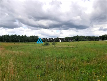 działka na sprzedaż 3296m2 działka Borzechowo, Kociewska