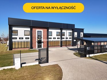 lokal użytkowy na wynajem 253m2 lokal użytkowy Targowisko, Targowisko