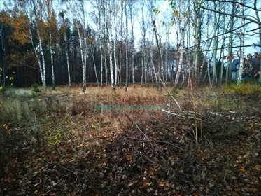 działka na sprzedaż 1541m2 działka Szczęsne