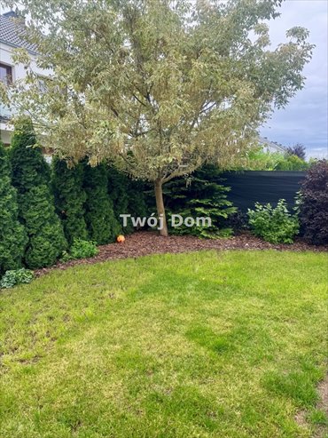 dom na sprzedaż 98m2 dom Zalasewo