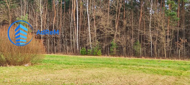 działka na sprzedaż 3000m2 działka Piskórka