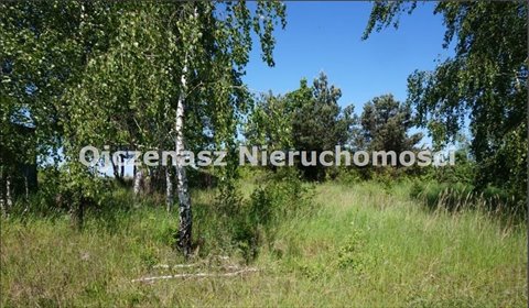 Działka budowlana 1051 m² z warunkami zabudowy. działka Krążkowo