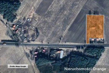 Duża działka z budynkami przy drodze nr 10, 9037 m² działka Kalinówka