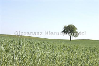 lokal użytkowy na sprzedaż 3511m2 lokal użytkowy Minikowo