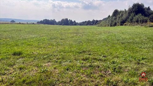 działka na sprzedaż 2533m2 działka Studzianki