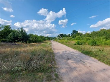 działka na sprzedaż Zakręt 1500 m2