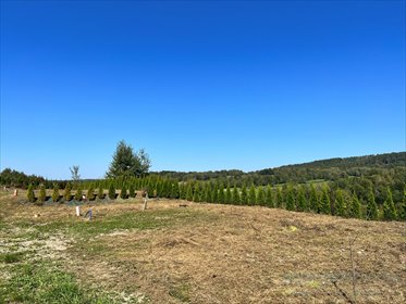 działka na sprzedaż 231m2 działka Solina