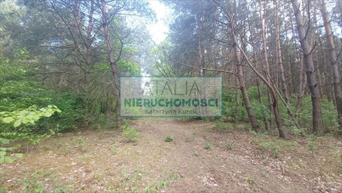 Działka 1425 m2 w otoczeniu lasu, cicha okolica działka Książenice